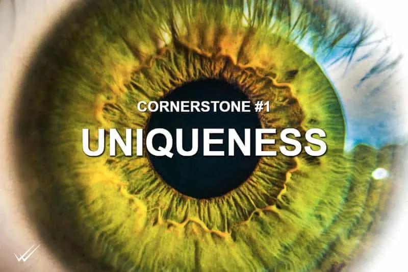 The four cornerstones of business strategy — uniqueness